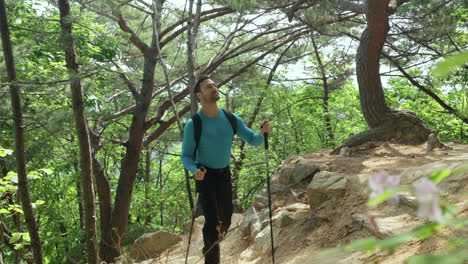 Hiker-with-hiking-poles-and-black-backpack-walking-on-a-rocky-path-turn-surrounded-by-mixed-mountain-forest-trees