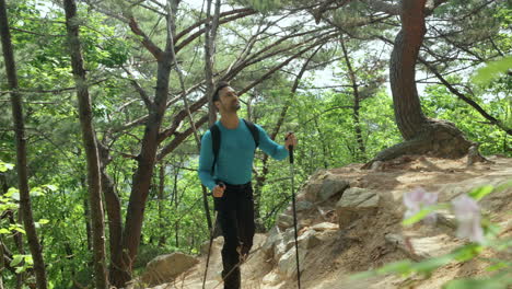 hiker with hiking poles and black backpack walking on a rocky path turn surrounded by mixed mountain forest trees