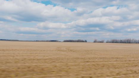 view from the window of a fast-moving car 2