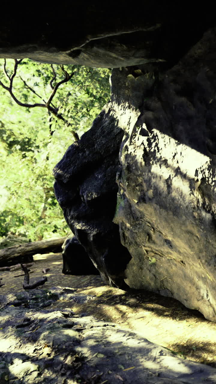 Esplorare una grotta naturale in una foresta lussureggiante durante le ore diurne