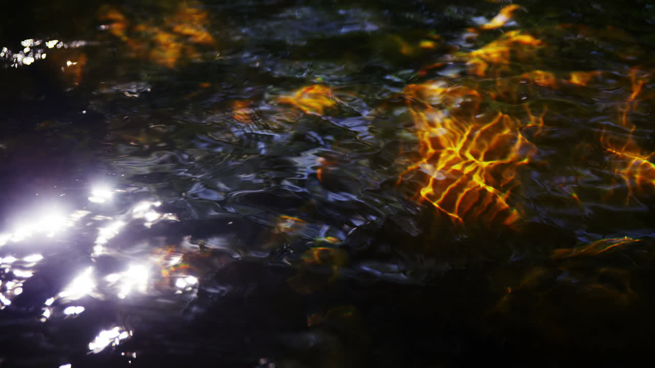 río poco profundo y roca en un día soleado