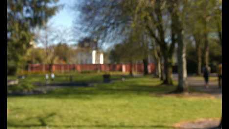 scenic shot of the local parkland