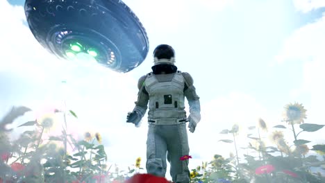 un platillo volador alienígena persigue a un astronauta corriendo a través de un campo de flores. el concepto de un ovni o nave espacial alienígena. animación en bucle para fondos de ciencia ficción, fantasía o espacio.