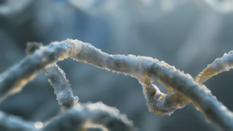 microscopic image of biological structures