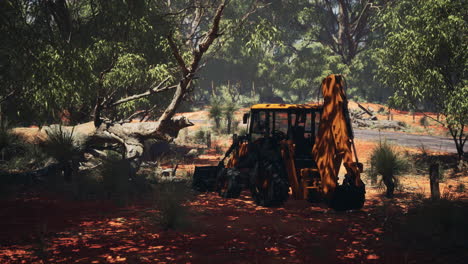 excavator-tractor-in-bush-forest