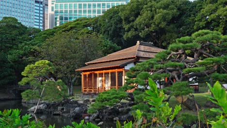 a historic japanese teahouse in a lush garden, offering a peaceful escape with modern tokyo skyscrapers in the background.