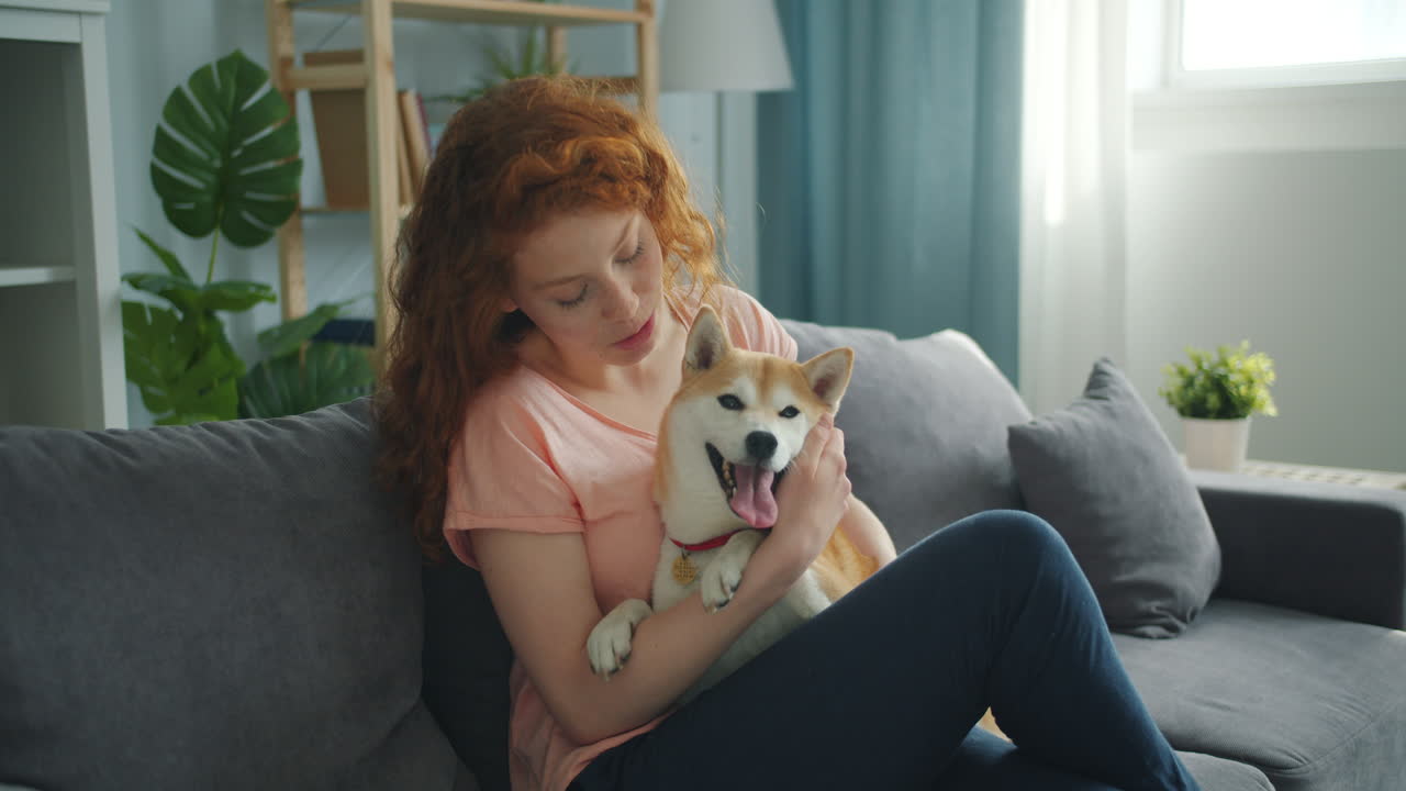 Woman with Shiba Inu dog on a couch