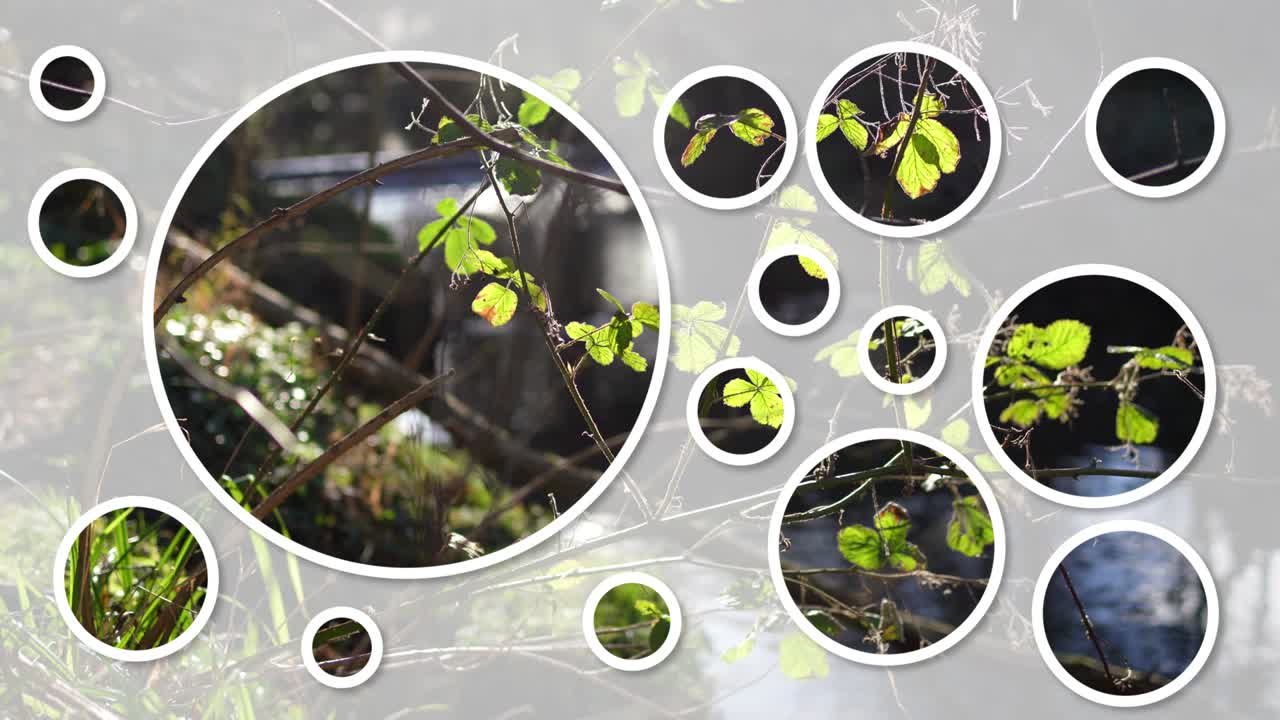 자연적인 원입니다.