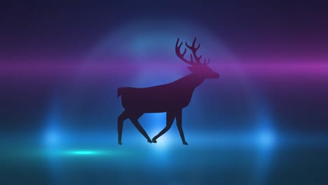 animation of light spots over reindeer walking