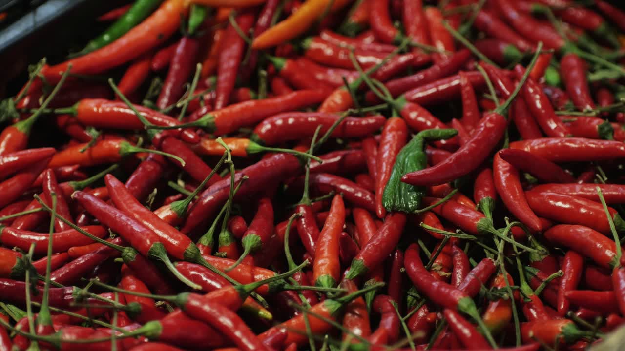 A vibrant and colorful assortment of fresh red chili peppers is now perfectly ready for culinary use and preparation