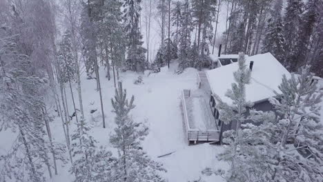 acogedora cabaña de invierno detrás de las copas de los árboles en el remoto bosque nevado nórdico, vista aérea de arriba hacia abajo