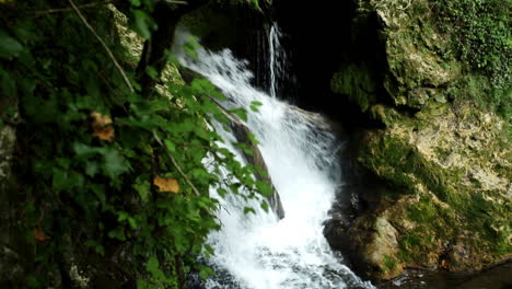 Kleiner-Wasserfall-Im-Wald---Rumänien-2