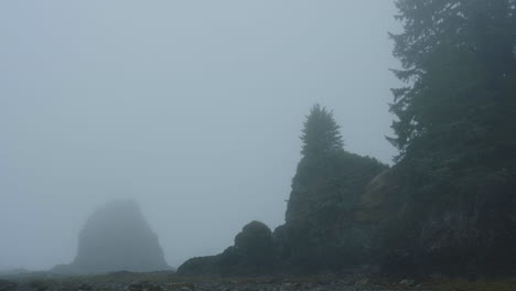 morning view of rocky rugged pnw coastline covered in dense fog