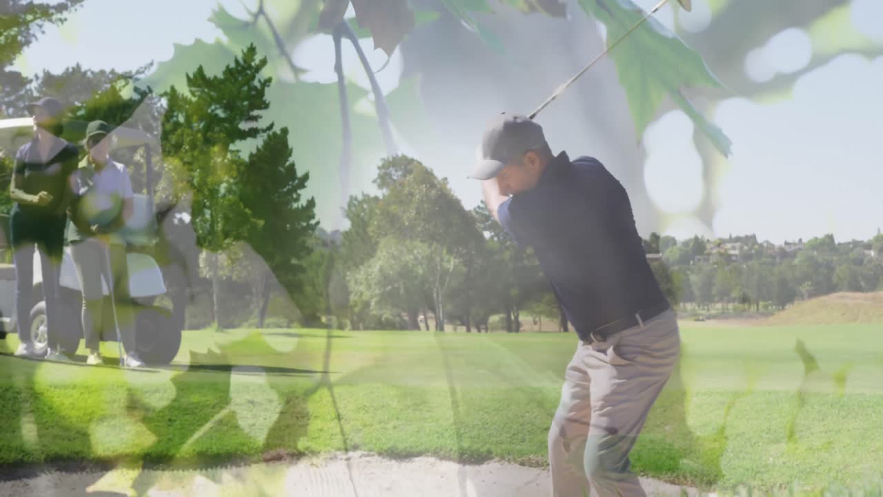 골프 코스에서 골프를 하는 고위 백인 커플 위에 있는 나무들의 애니메이션