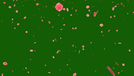 pink petals falling on green background