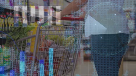 animación del procesamiento de datos financieros a través del carrito de compras