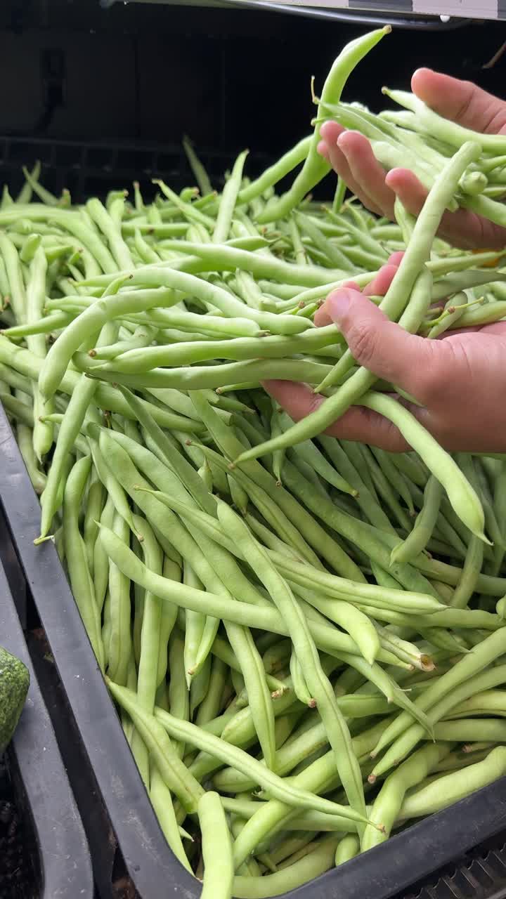 Hands Picking Fresh Green Beans in Supermarket Produce Section