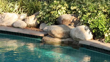 peaceful water feature with rocks and plants