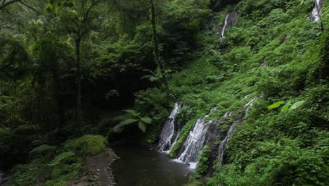 weaving through the trees of a balinese jungle with a distant waterfall, aerial