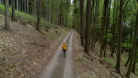 Aerial-drone-shot-of-a-man-walking-over-narrow-gravel-path-through-lush-green-forest-in-Hřebeč,-near-town-Moravská-Třebová-and-town-Koclířov-in-Czech-Republic-while-hiking