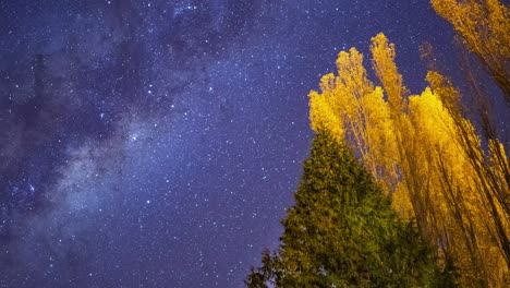 lapso de tiempo de la galaxia de la vía láctea vista en patagonia, argentina, plano general