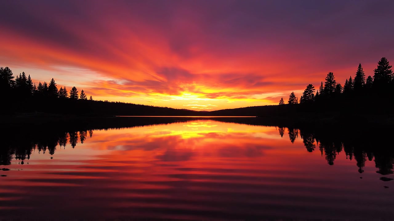 Levende orange solnedgang spejler sig i en rolig skovsø