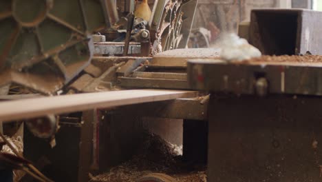 electric planing machine, smoothing a timber plank in a woodworking workshop setting