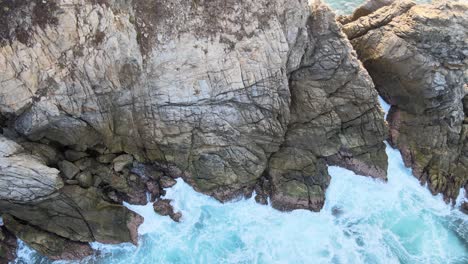 foque en vista cenital sobre el acantilado y las olas al amanecer en la costa de oaxaca