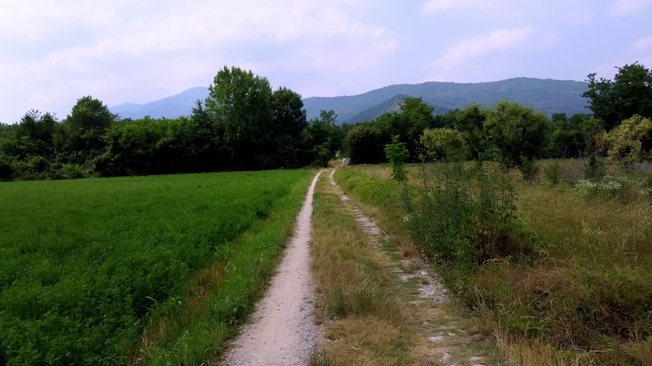 camino rural entrando en árboles verdes, montañas en el fondo, turín, italia