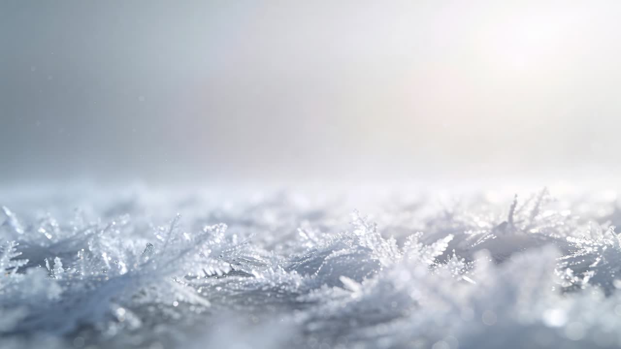 Cambio di messa a fuoco della telecamera che mostra cristalli di brina piumati su una superficie piatta e fredda mentre la luce solare scintilla.