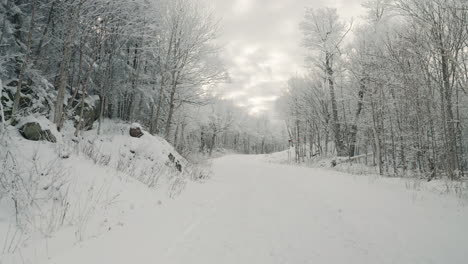 Viaje-Por-Carretera-Congelada-Con-Densas-Ramas-De-Madera-Desnuda-Durante-El-Invierno-En-Orford,-Quebec,-Canadá