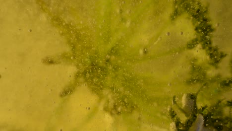 experimentos de botánica líquida alienígena en movimiento con burbujas y escombros en profundidad extrema 60fps