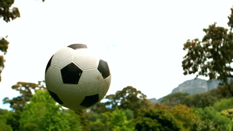 un niño pequeño jugando al fútbol en el parque.