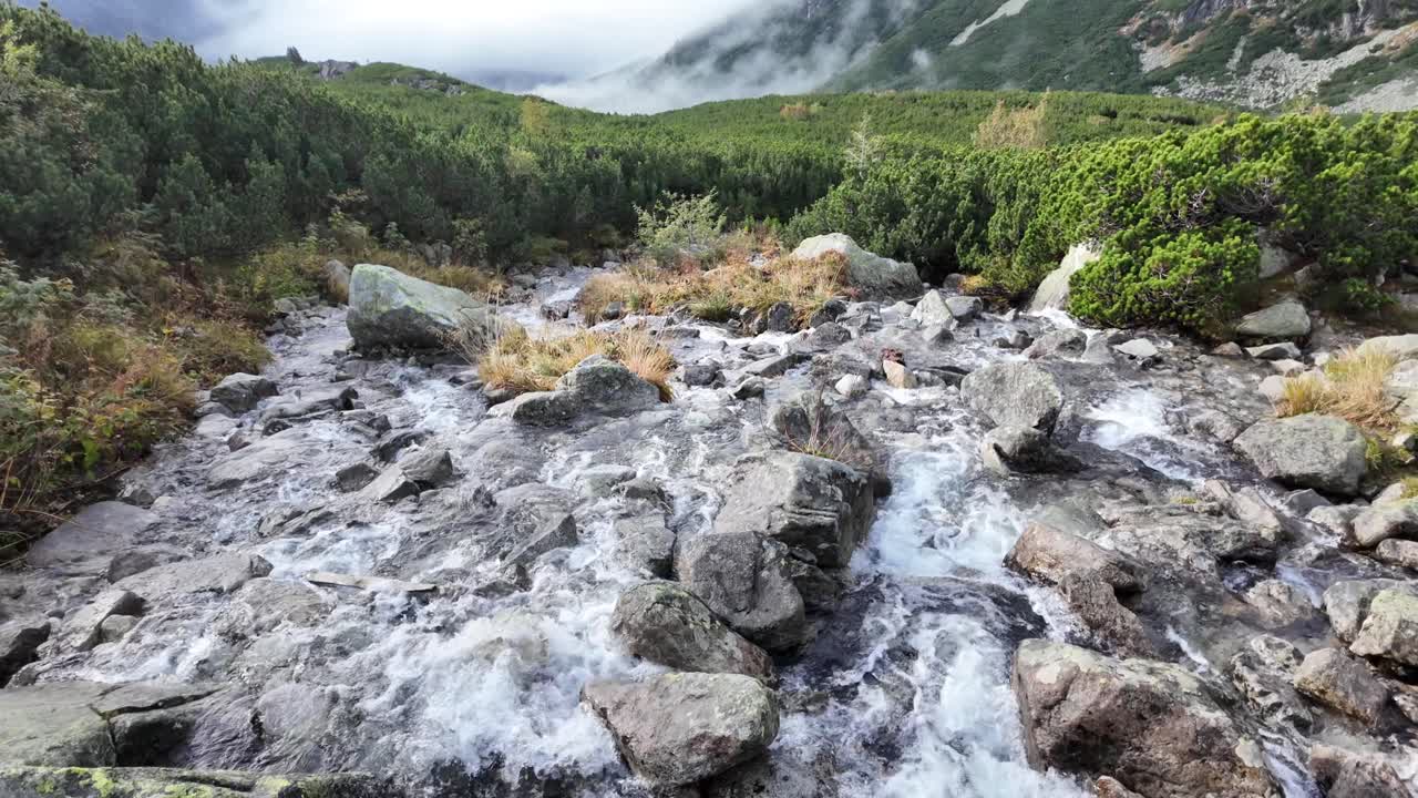 Slovak Tatras. Mountain landscape with stream and clouds.
