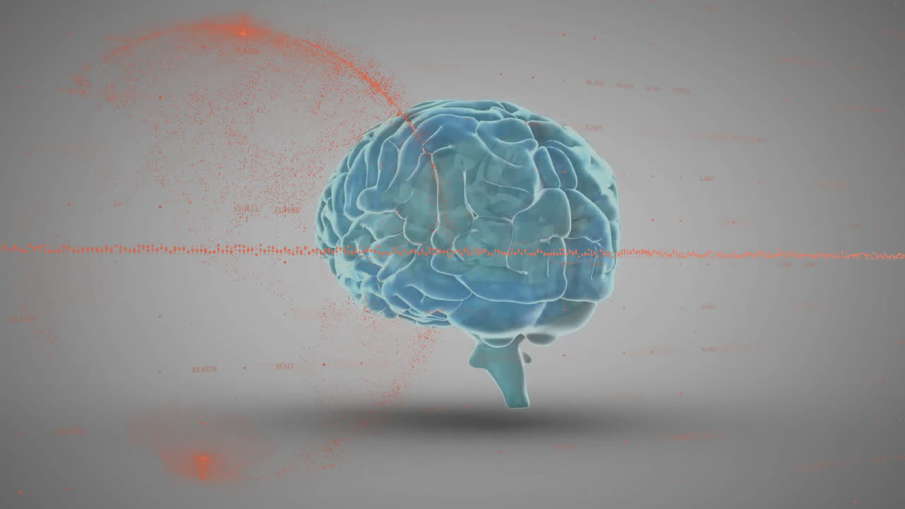회색 배경에 대한 회전하는 인간 뇌에 대한 그래프와 지구의 애니메이션