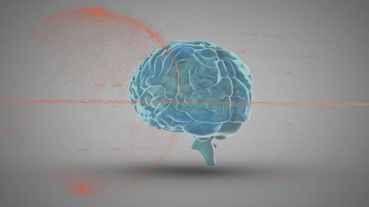 Animation of graph and globe over rotating human brain against gray background