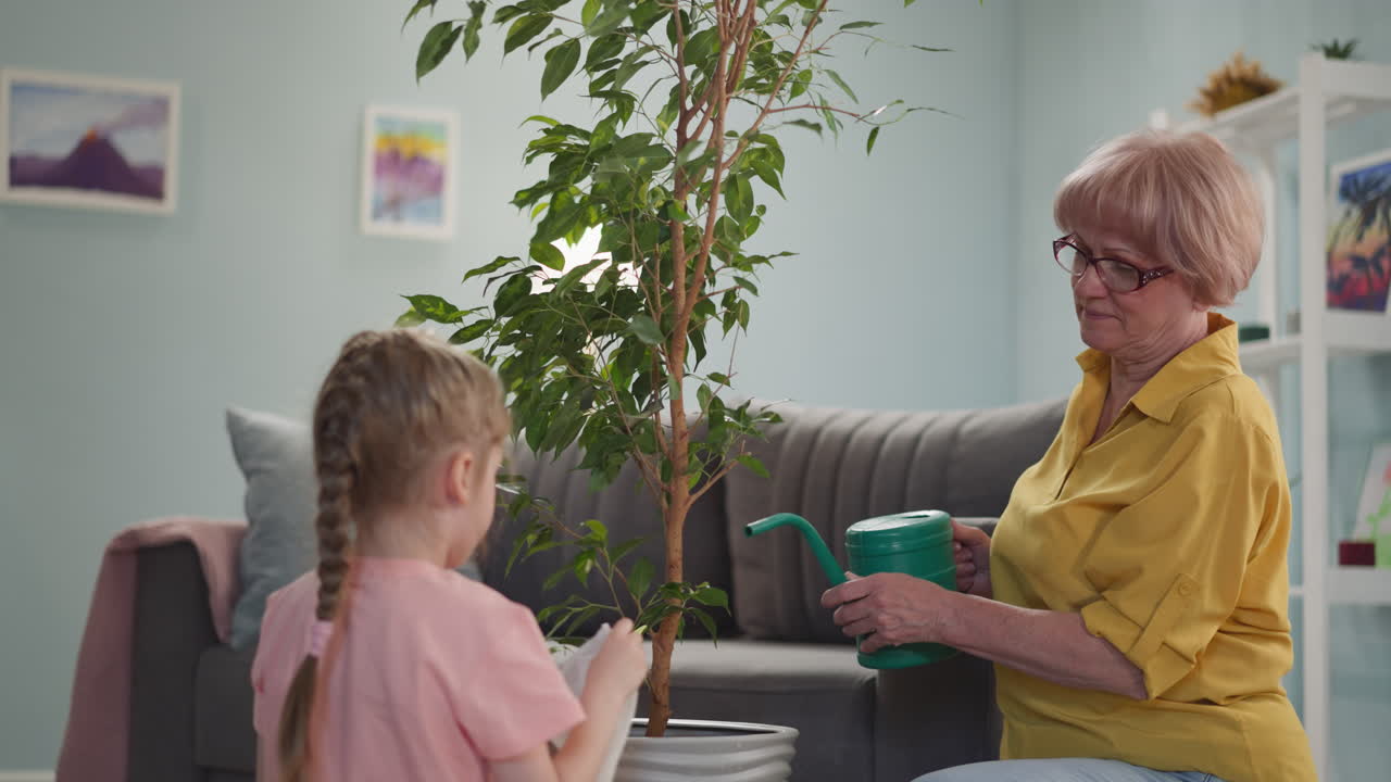 성숙 한 여자 는 소녀 가 집 에서 잎 을  ⁇ 는 동안 피쿠스 에 물 을 주고 있다
