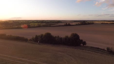 descendiendo lentamente hacia un campo cosechado mientras contempla una puesta de sol de verano-1