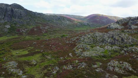 Schieben-Sie-Einen-Luftwagen-über-Die-Weitläufige-Grüne-Berglandschaft-Mit-Sträuchern-In-Zamora,-Spanien