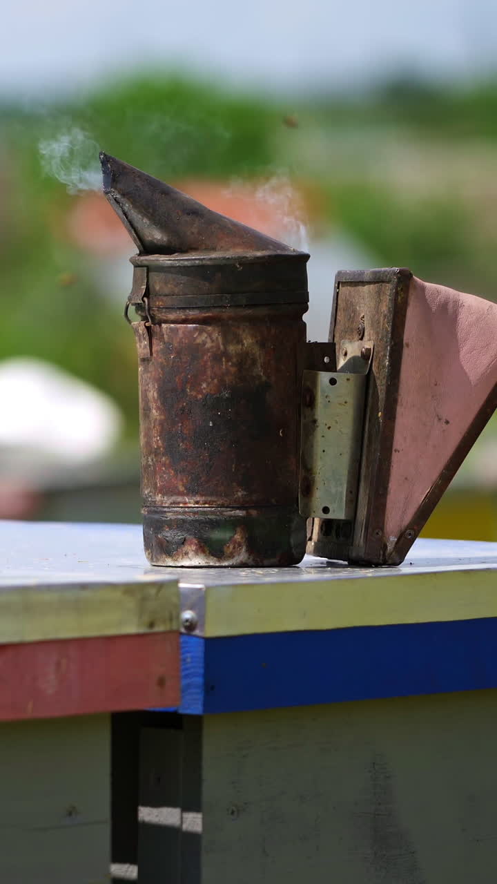 Smoker stands on a beehive. Bee chimney on background of beehives. Apiculture concept. Honey and bees. Foundations of tools for hive. Vertical video