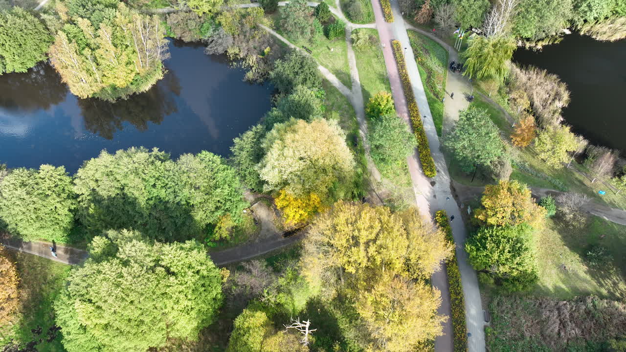 Top-Down Aerial View of Lakeside Paths and Forest in Gdańsk