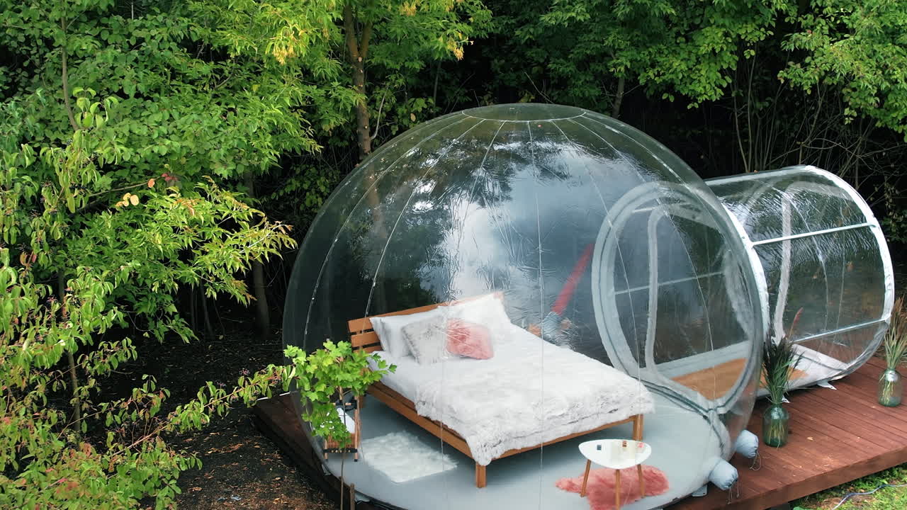 Gennemsigtigt bobletelt ved glamping, frodig skov rundt om og indeni