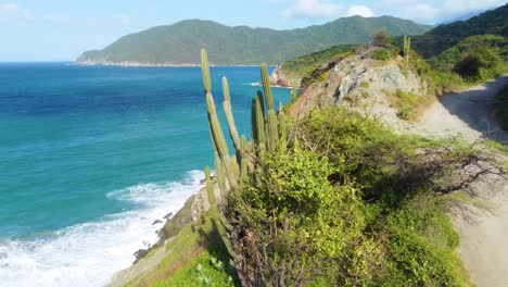 parque nacional tayrona en la costa caribeña de colombia _ disparo de avión no tripulado