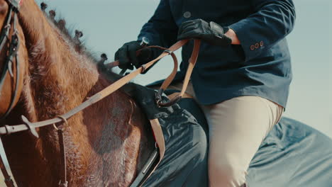 horseback rider in elegant attire grabbing reins, equestrian olympic sport