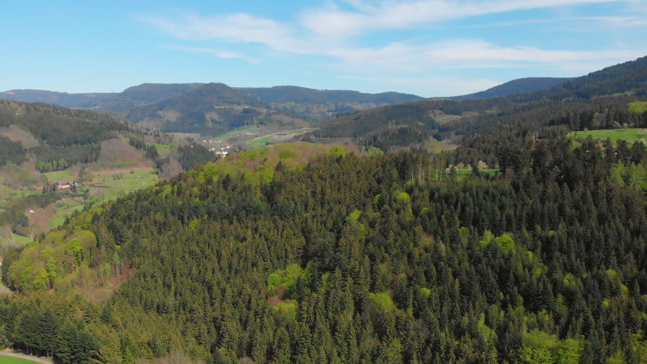vista aérea de un bosque y un valle de la selva negra, alemania