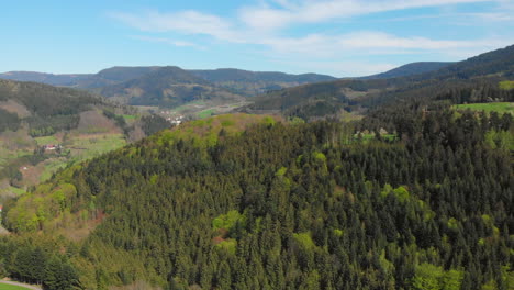 aerial view of a forest and a valley of the blackforest, germany