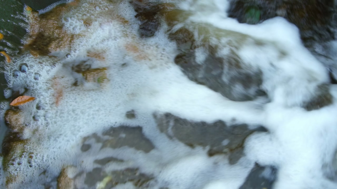 Foamy River Water Surface Rapid Flow, White Foam And Bubbles Rushing Over Rocks And Autumn Leaves, Close