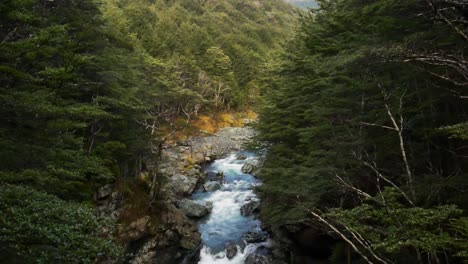 Drone-Shot-Tilt-Down-of-Beautiful-River-flowing-between-forest