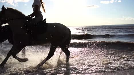caballos corriendo a través de las olas del océano al atardecer