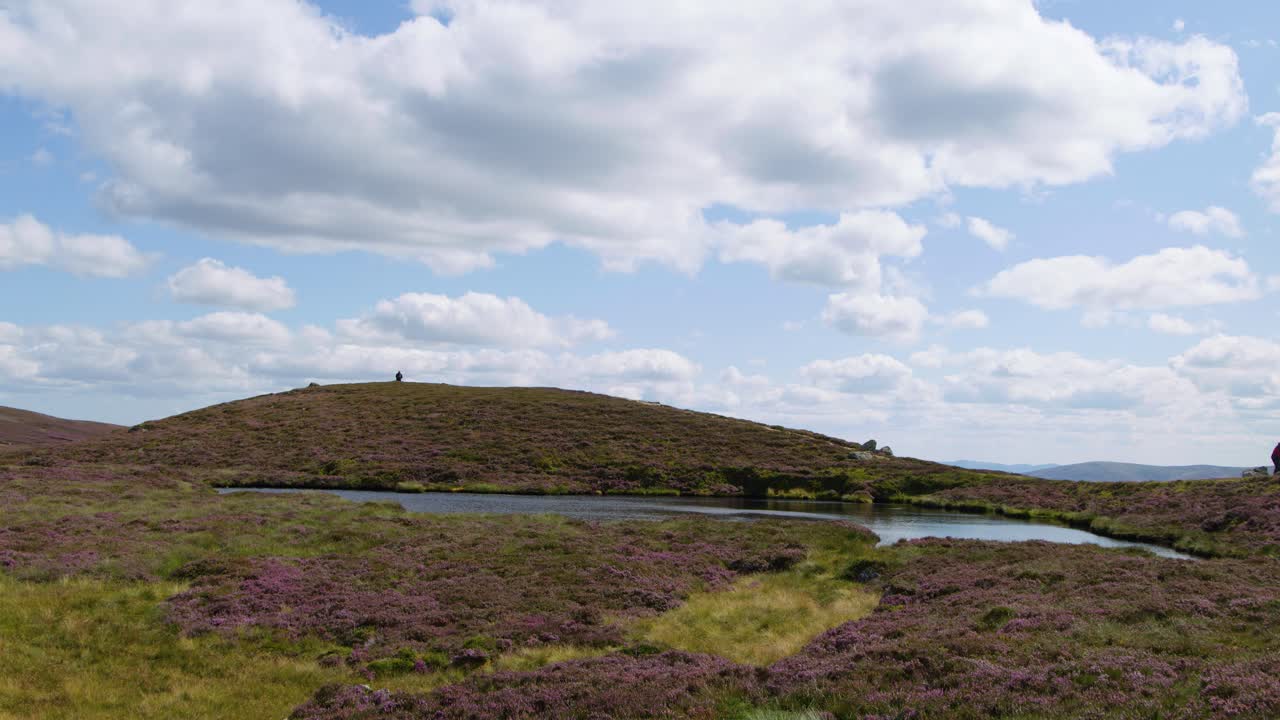 Camera slowly pans across heather hills, wildflowers, and clouds under soft daylight at Loch Brandy